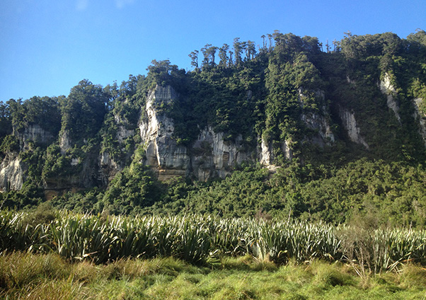 Trip photo
