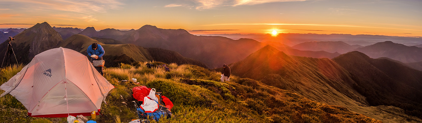 Trip evolution in the Kahurangi