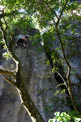 Trip photo